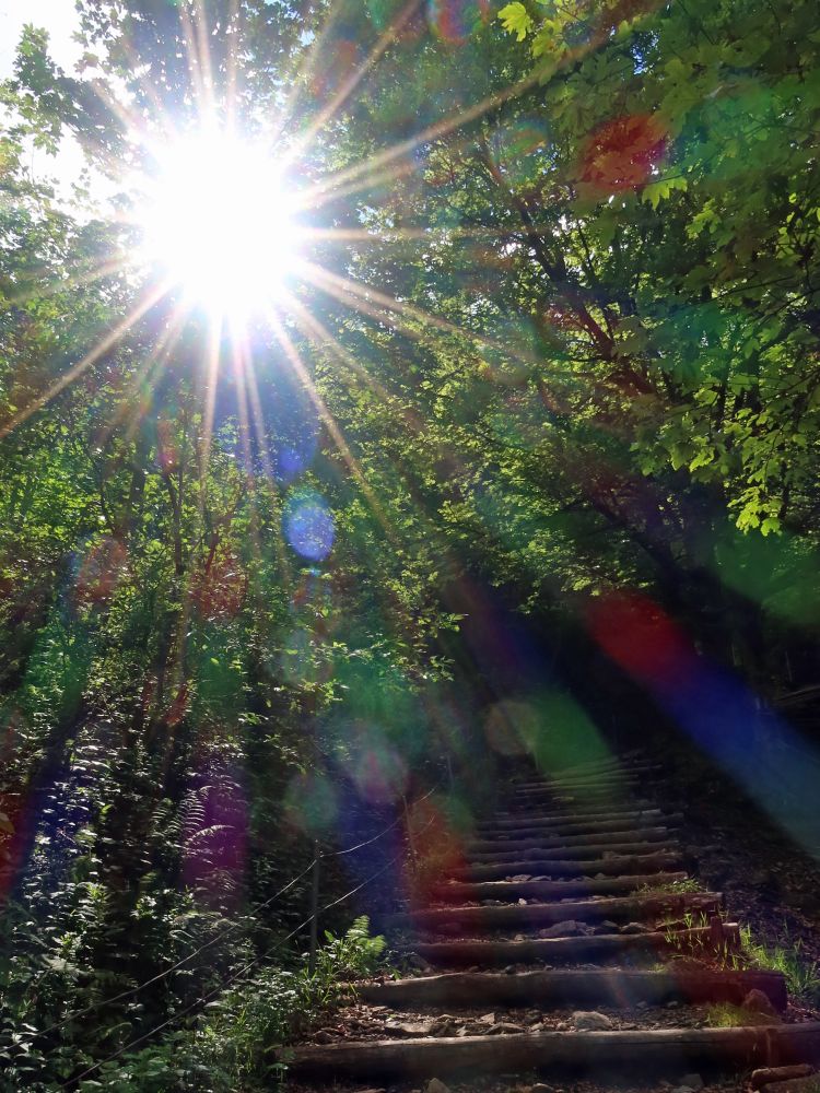 Treppe im Gegenlicht