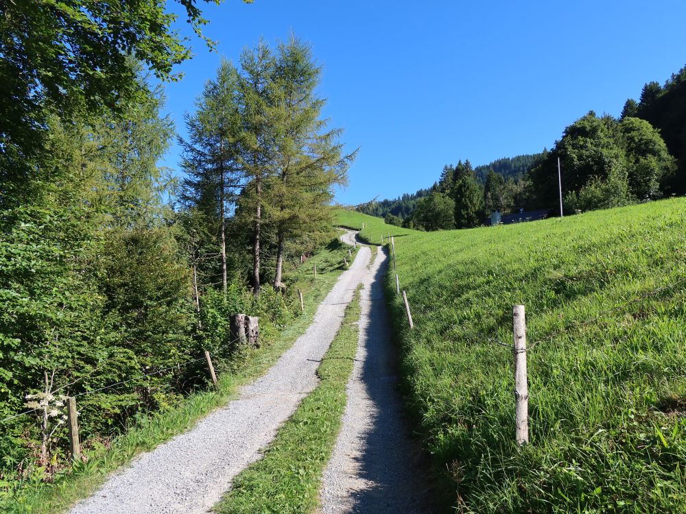 Wirtschaftsweg