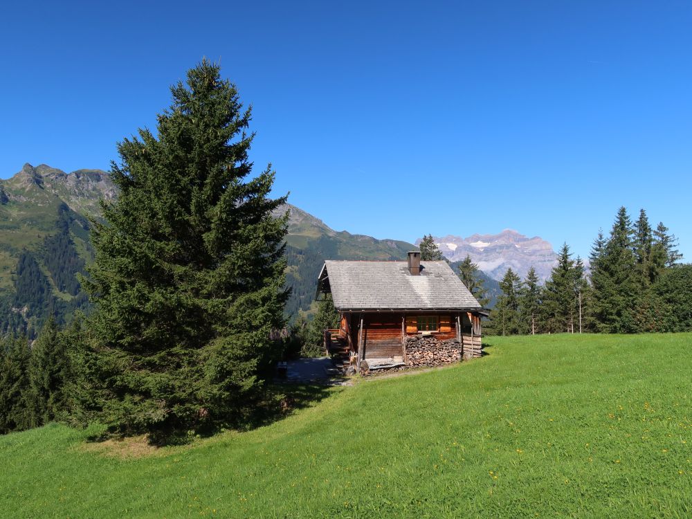 Holzhaus und Blick zum Vrenelisgärtli