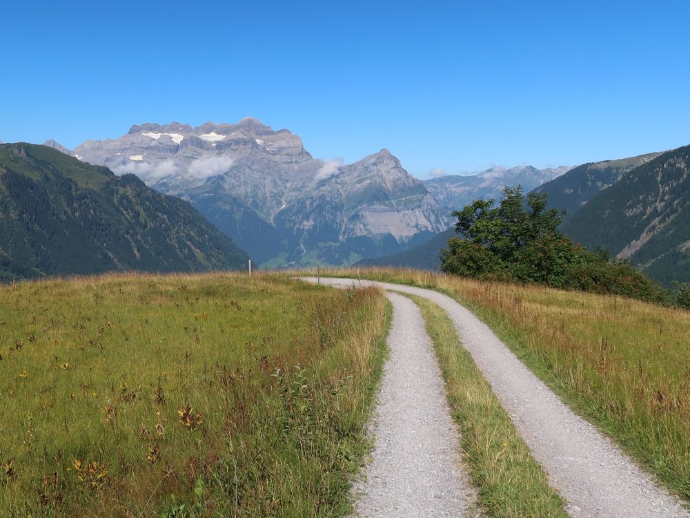 Blick Richtung Glärnisch