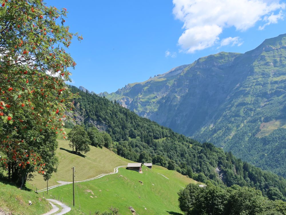 Wirtschaftsweg bei Weissenberge