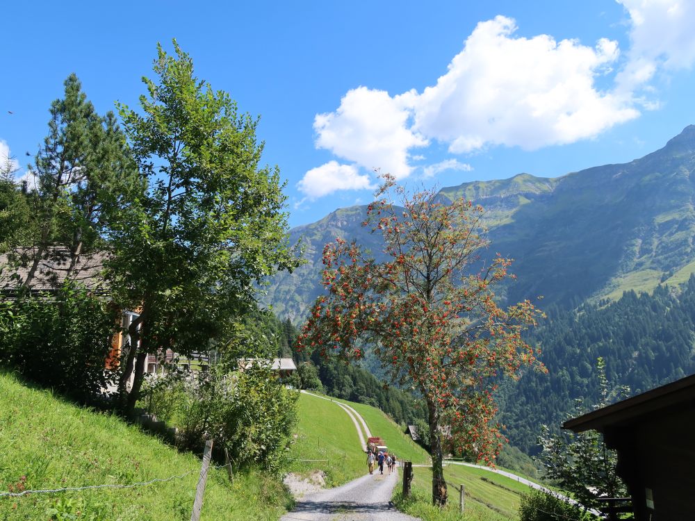 Wirtschaftsweg bei Weissenberge