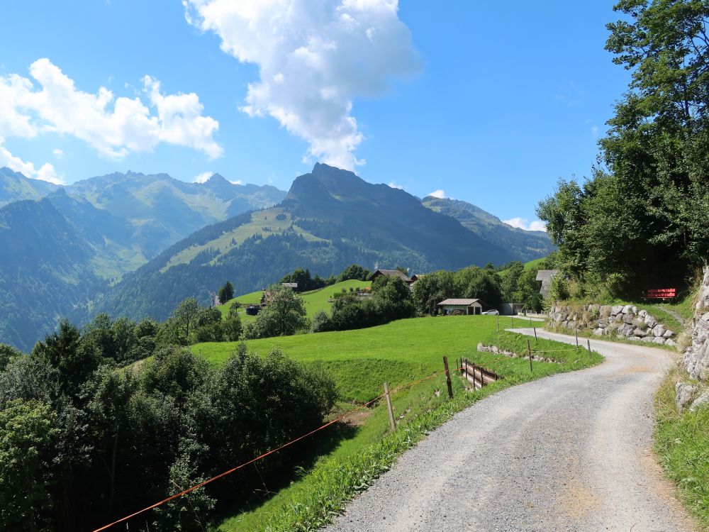 Wirtschaftsweg in Weissenberge mit Siwellen