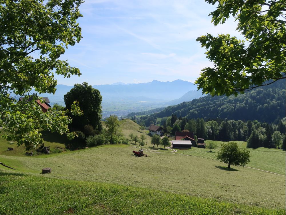 Heuernte beim Bräggerhof