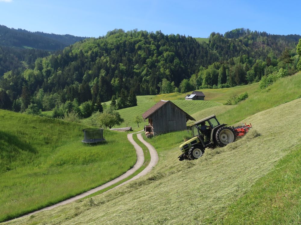 Heuernte beim Bräggerhof