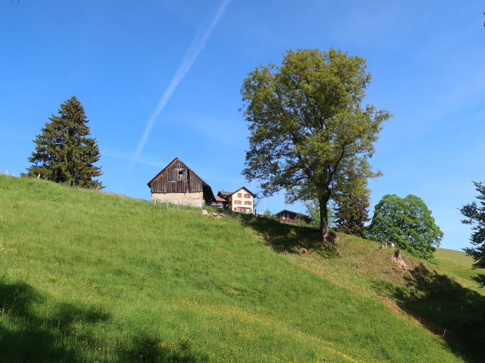 Bräggerhof