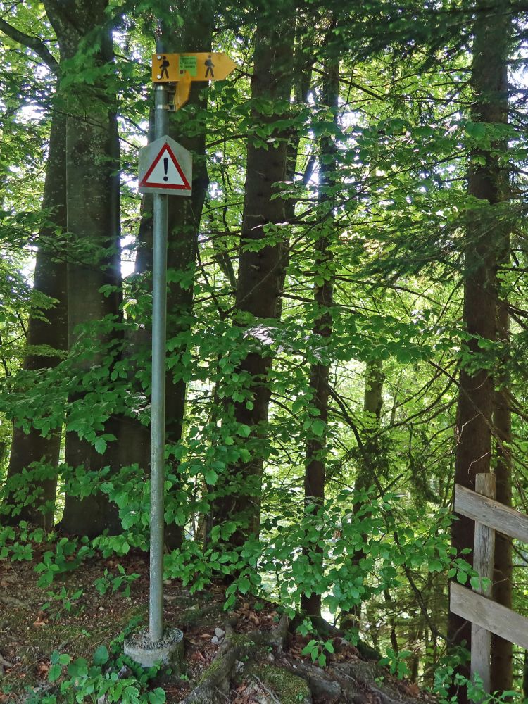 Wanderwegweiser mit Warnschild