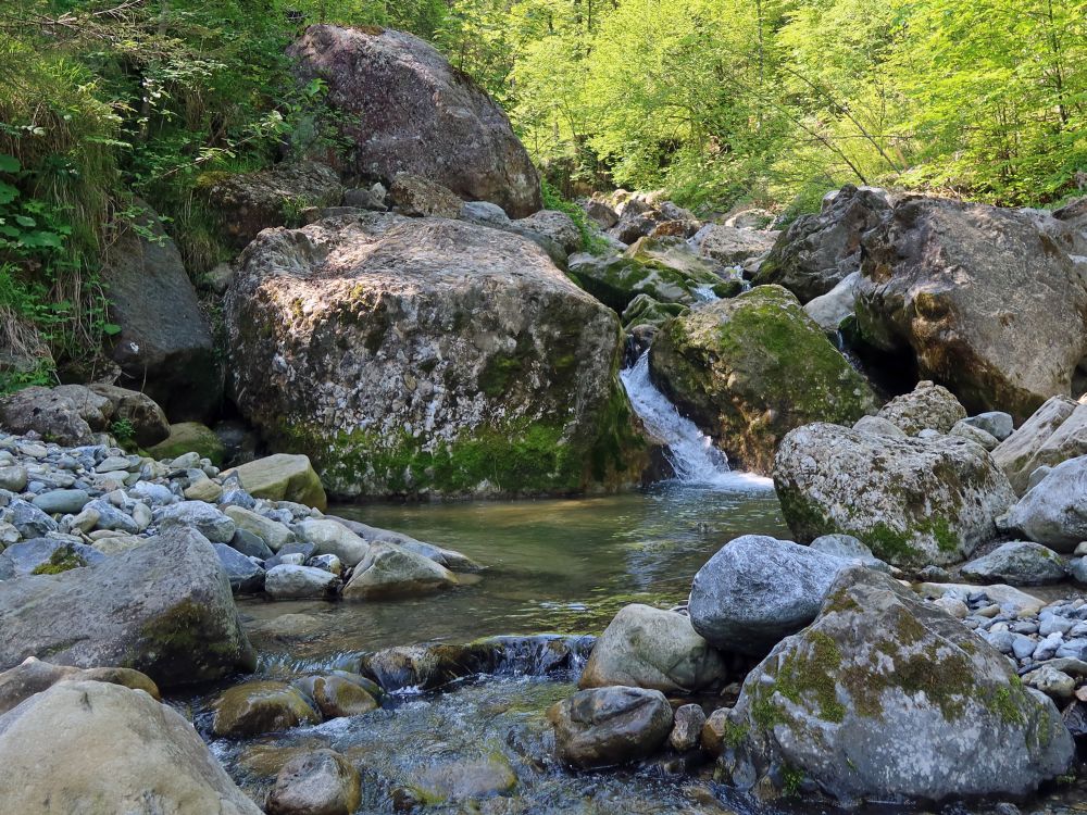 Felsen im Mutzenbuebach