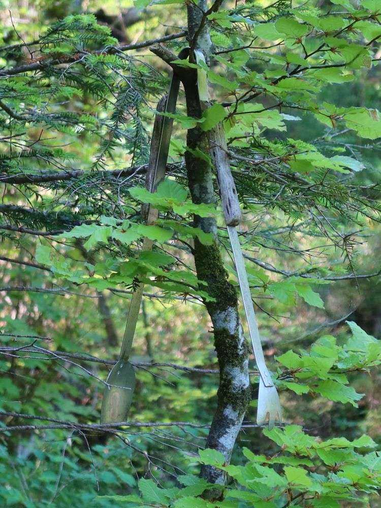 Grillbesteck im Baum