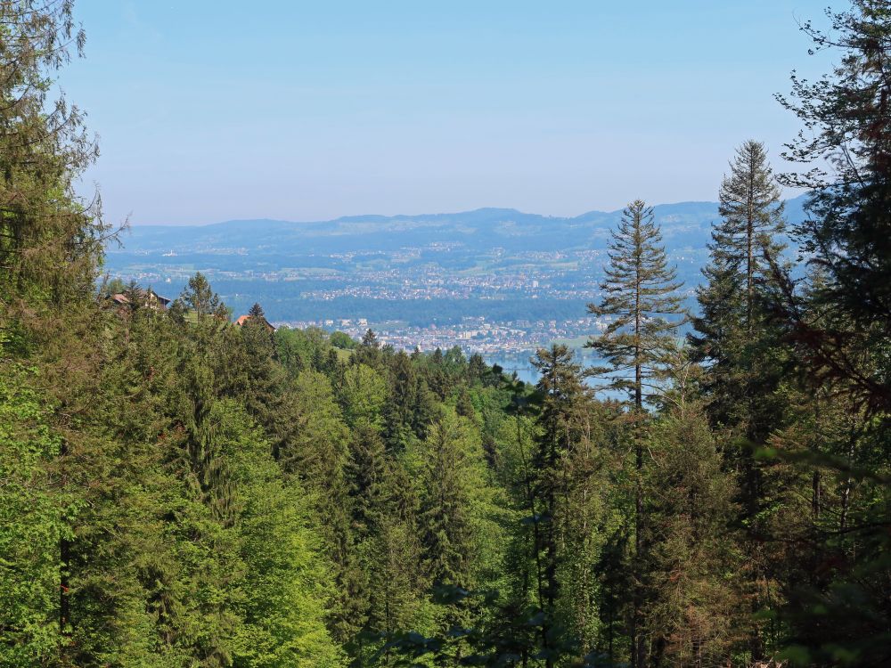 Zürichsee und Toggenburg