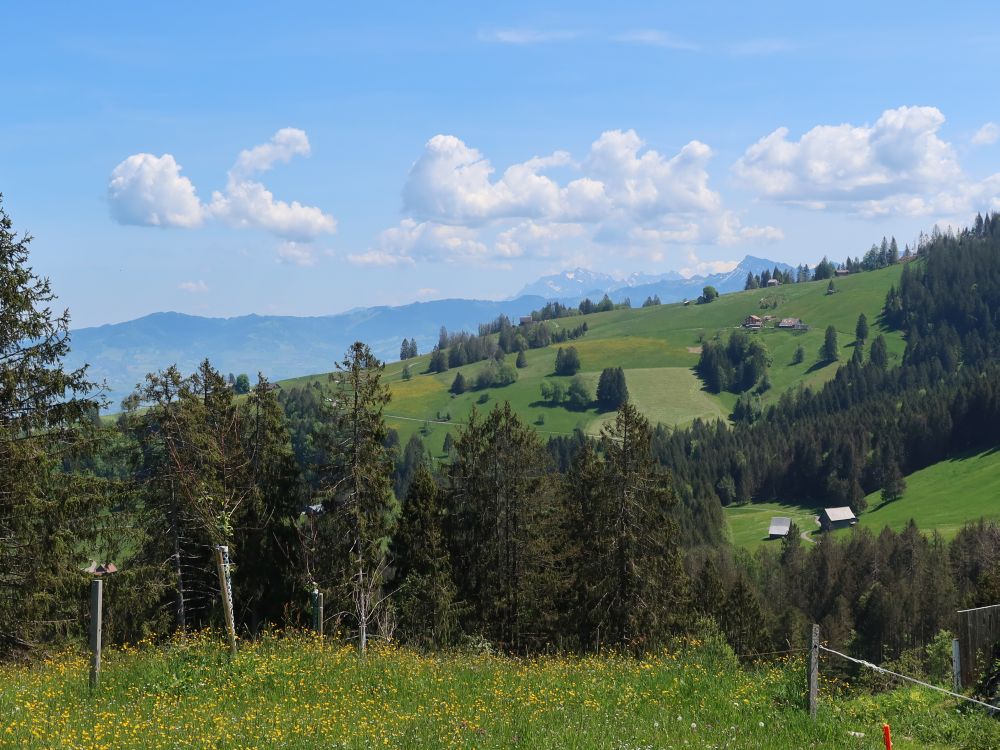 Toggenburg, Säntis und Speer