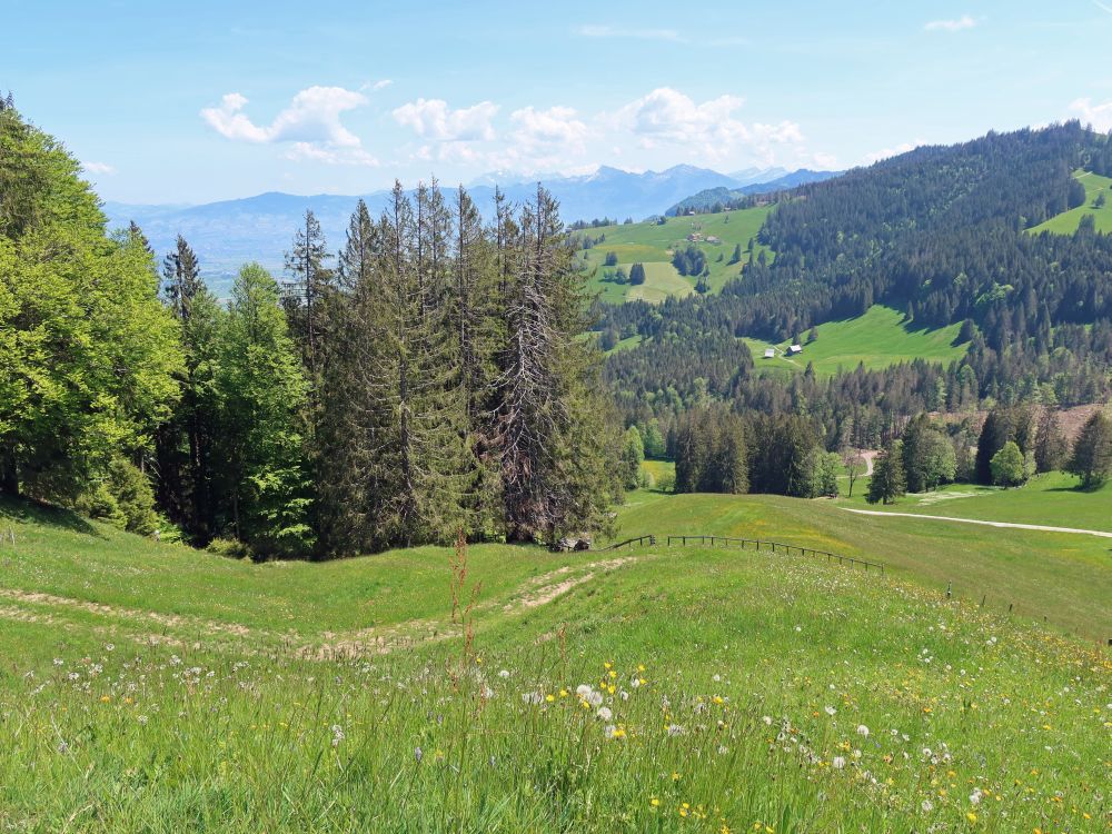 Blick Richtung Säntis