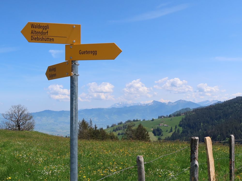 Wanderwegweiser mit Säntis und Speer