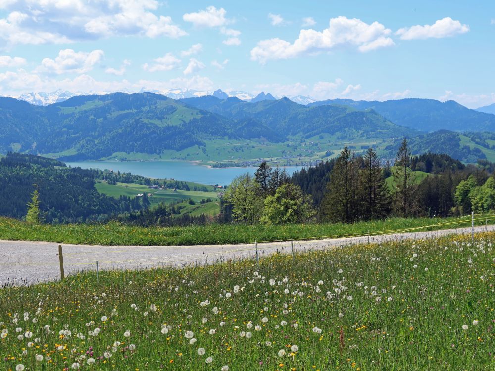 Sihlsee und Alpen der Zentralschweiz