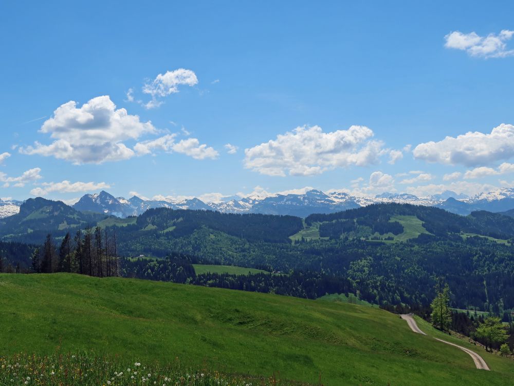 Blick Richtung Süden