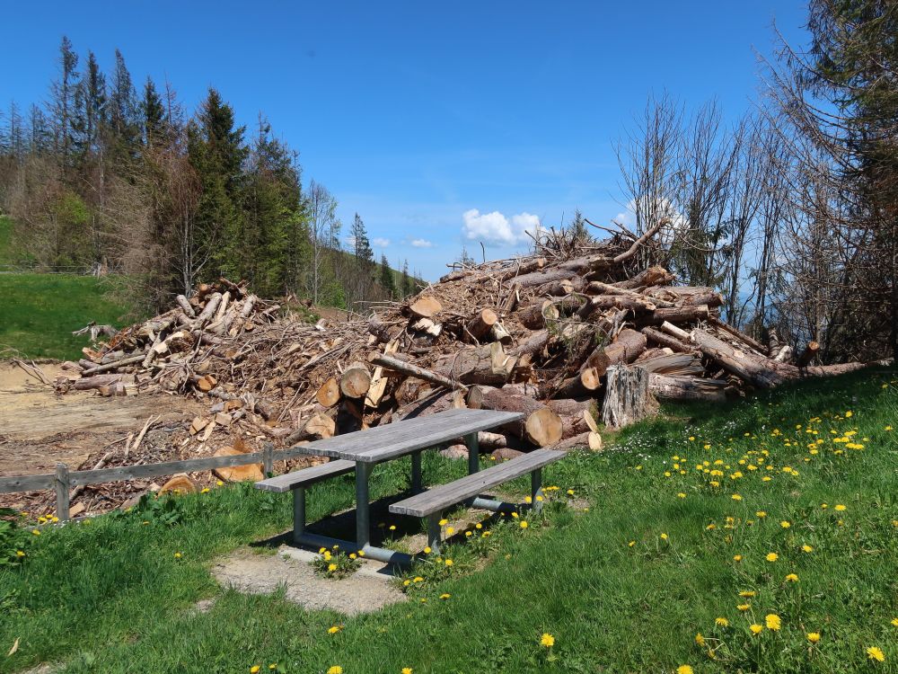 Brennholz für Grillplatz