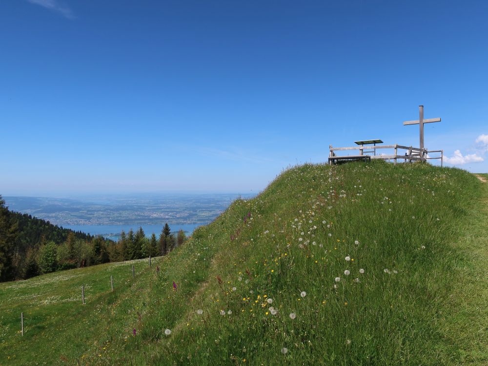 Zürichsee und Stöcklichrüz