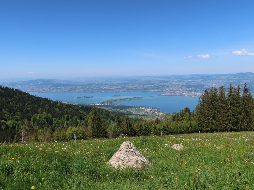 Zürichsee mit Seedamm