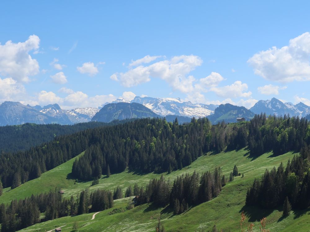 Gross und Chli Aubrig hinter Gueteregg