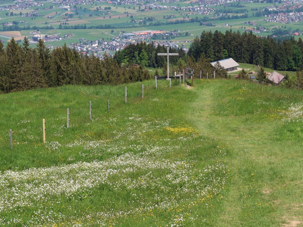 Wiesenpfad mit Gipfelkreuz