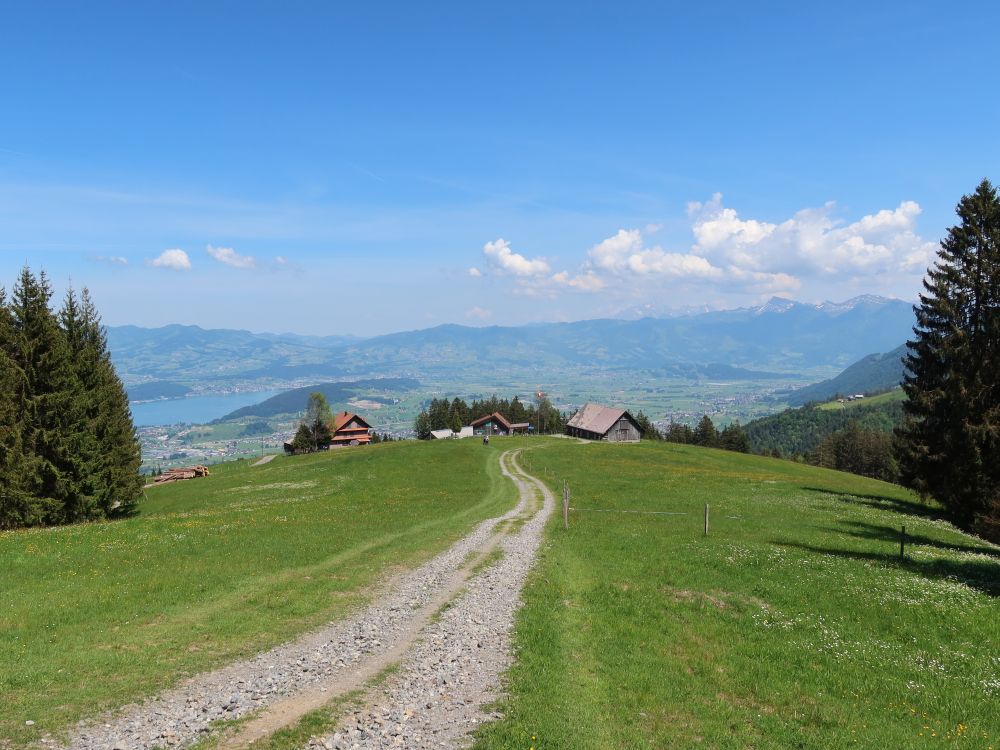 Bergwirtschaft Diebishüttli