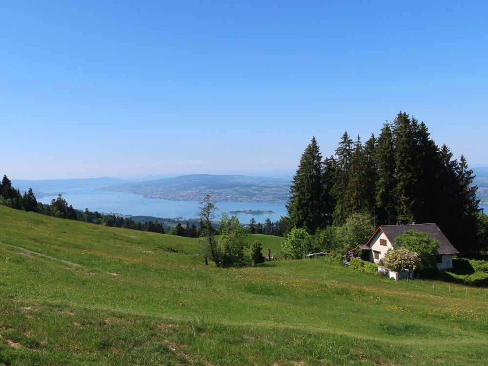 Zürichsee