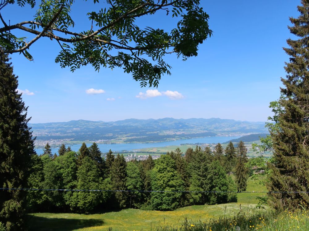 Zürichsee