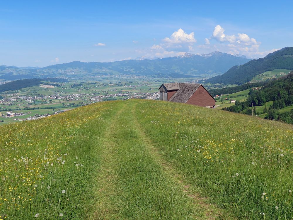 Wiesenpfad mit Blick auf Toggenburg und Säntis