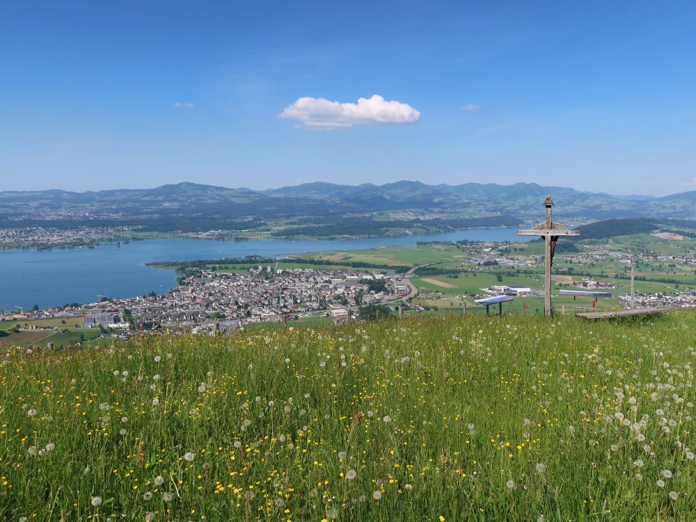 Wolke überm Zürichsee