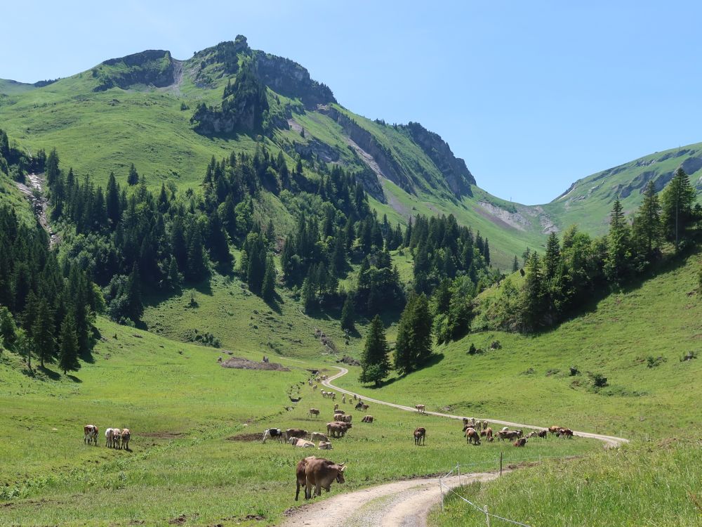 Frontal mit Furggeli und Huser Stock