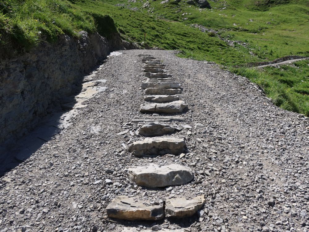 Stufen am Wanderweg