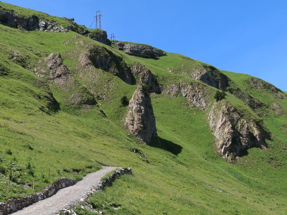 Spitzplänggli