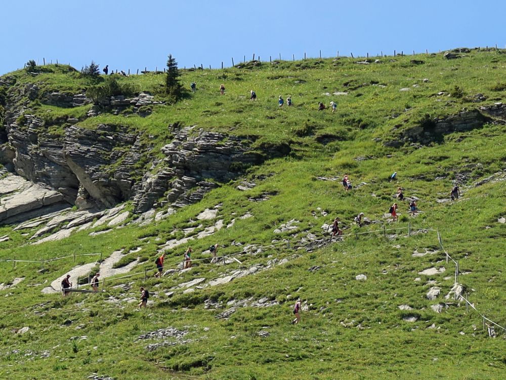 Wanderer auf dem Weg