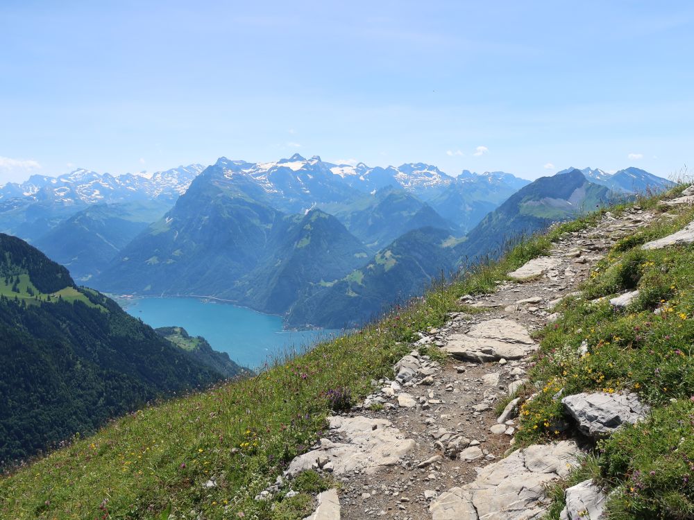 Urnersee