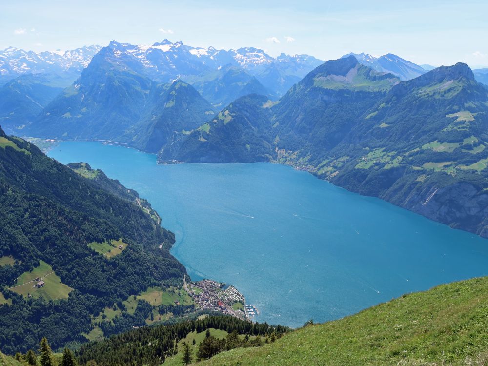 Urnersee