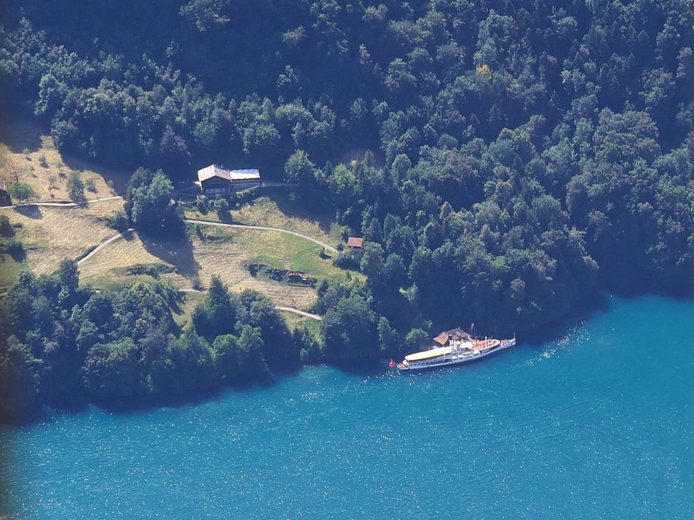 Passagierschiff im Urnersee