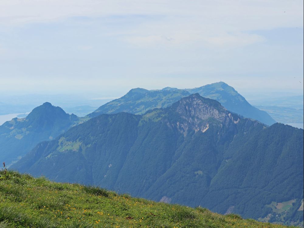 Vitznauer Stock und Rigi