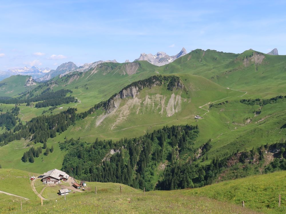 Alp Laui und Klingenstock