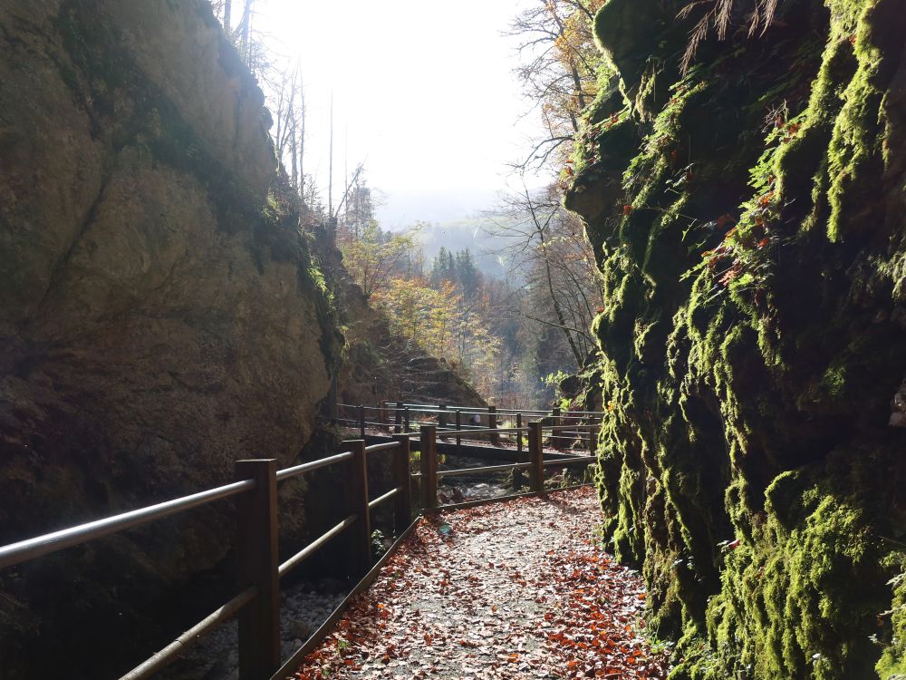 Steg bei Thurwasserfälle