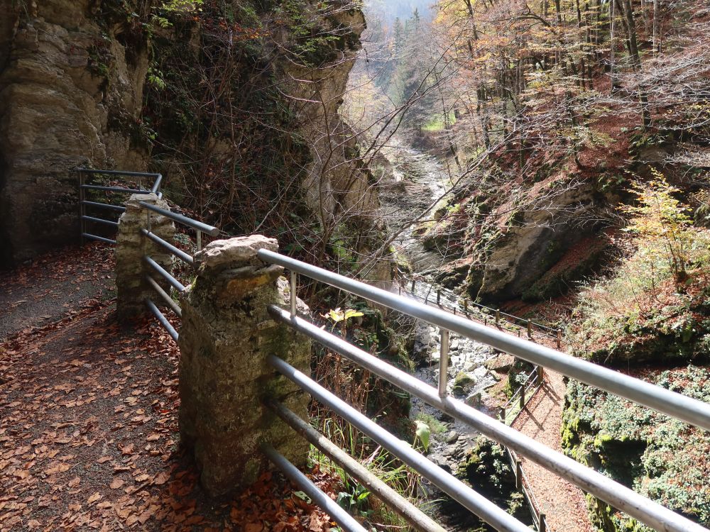 Steg bei Thurwasserfälle