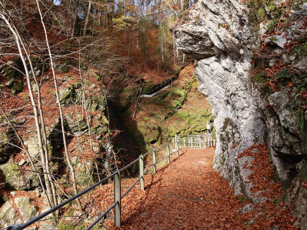 Steg bei Thurwasserfälle