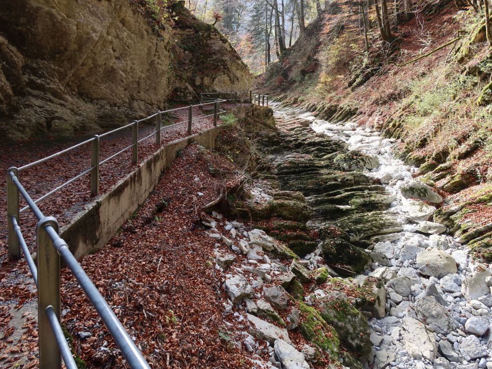 Steg bei Thurwasserfälle