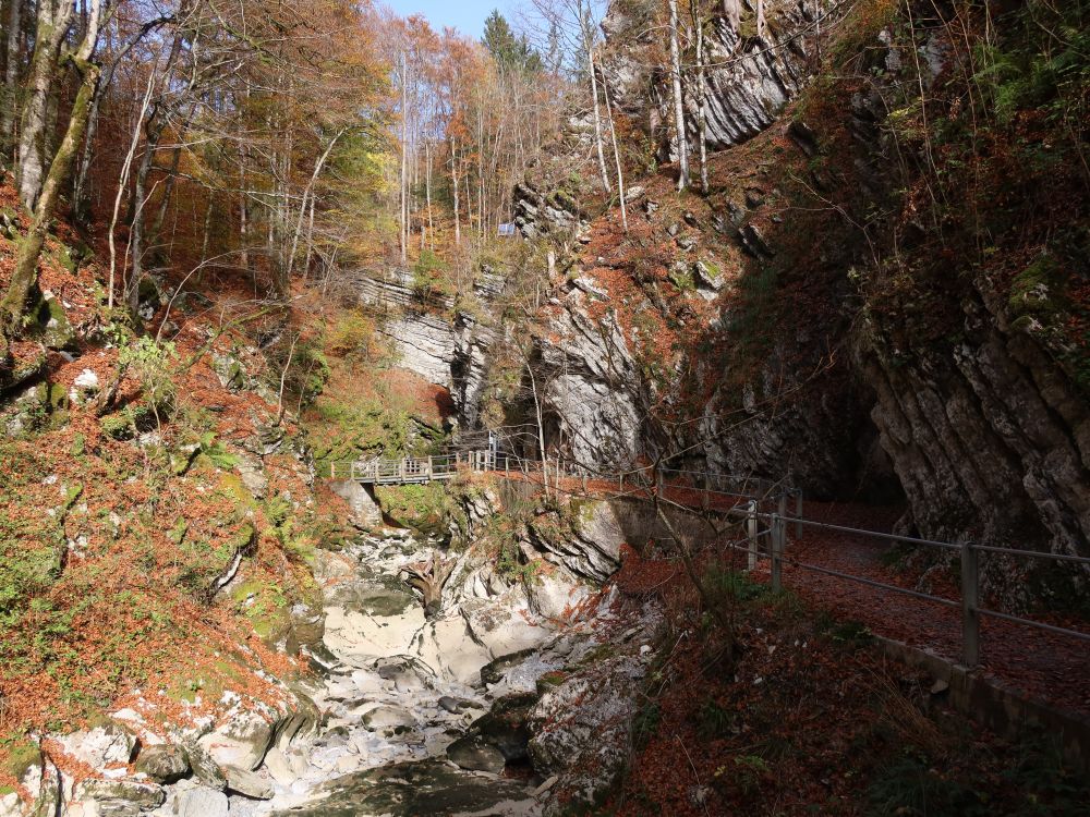 Steg bei Thurwasserfälle