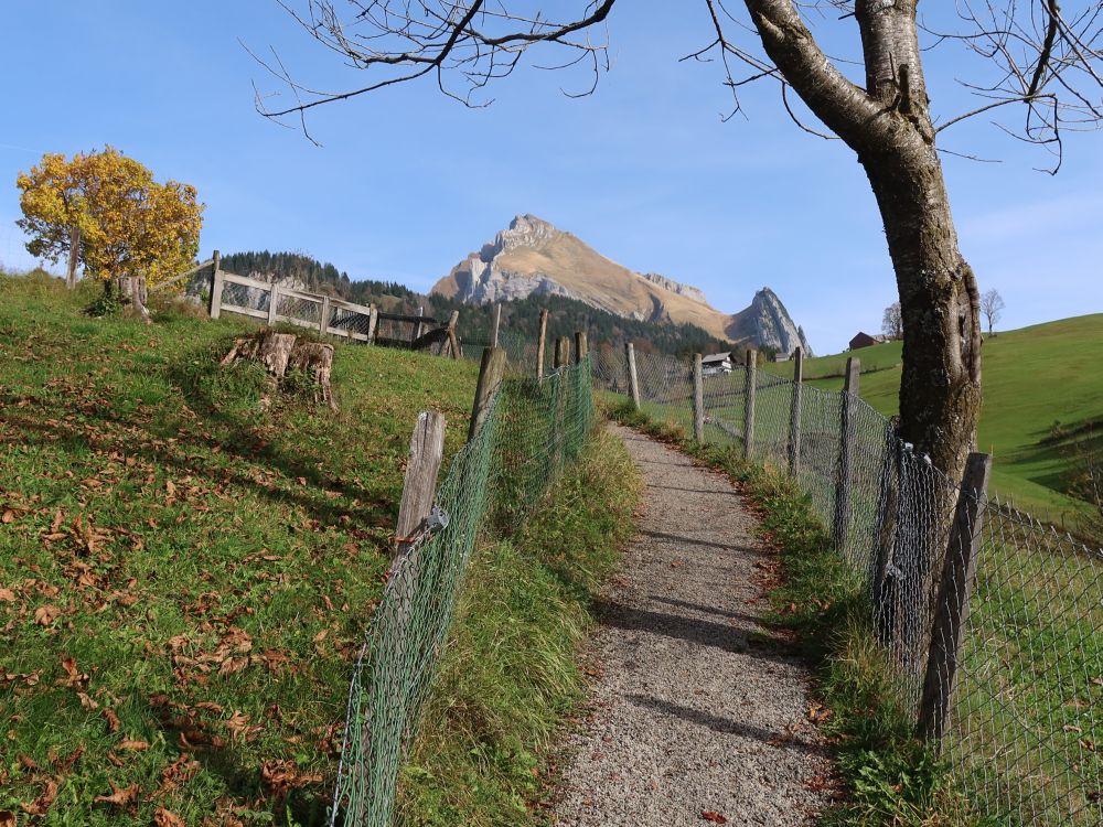 Weg mit Woldhauser Schafberg