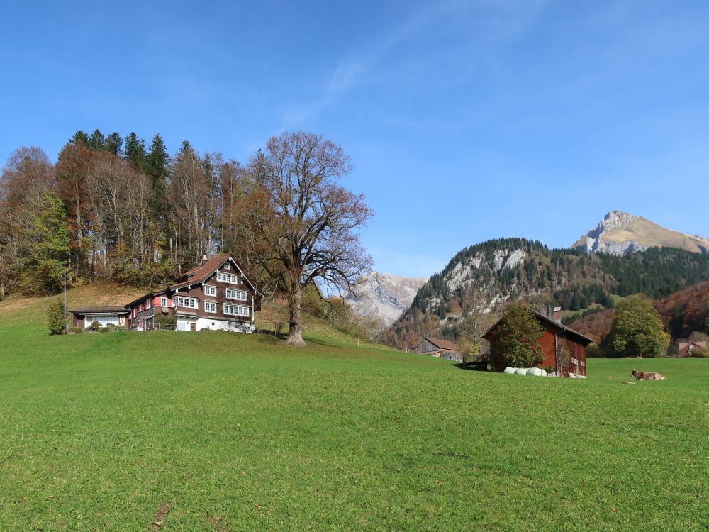 Bauernhaus und Wildhauser Schafberg