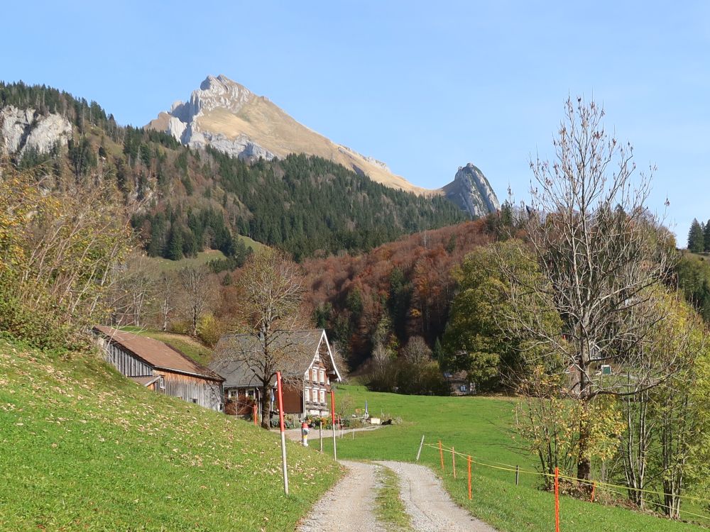 Bauernhof und Wildhauser Schafberg