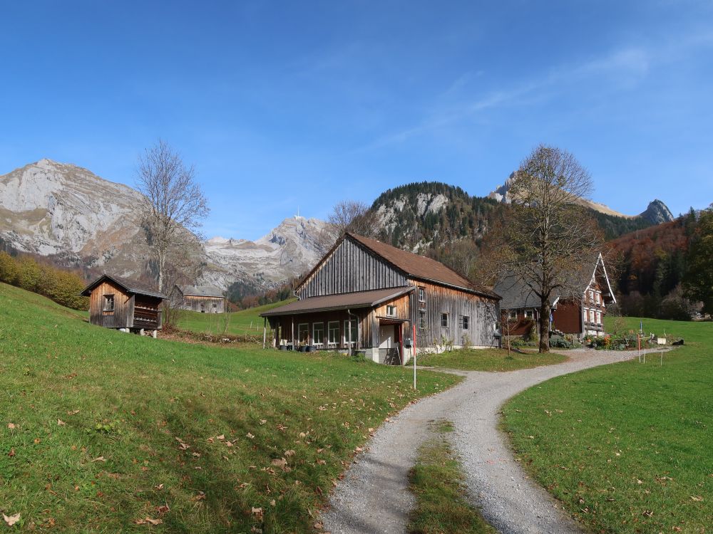 Bauernhof und Säntis