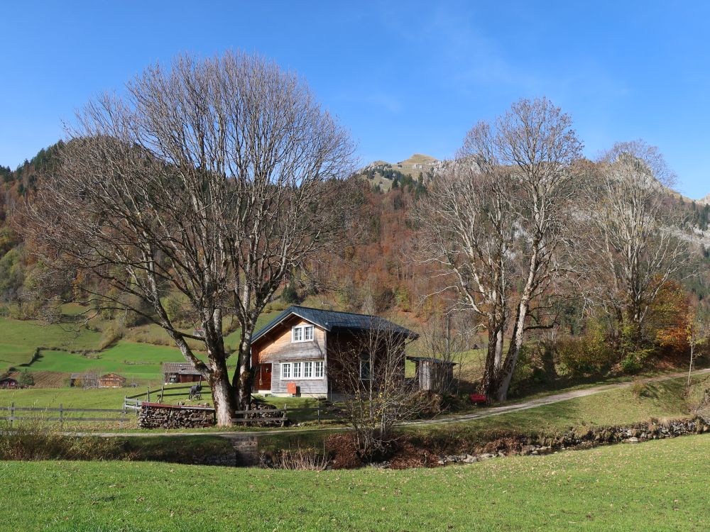 Bauernhaus zwischen Bäumen