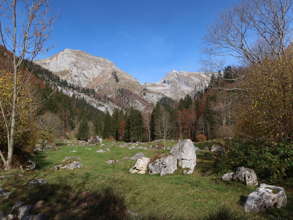 steinige Wiese und Säntis