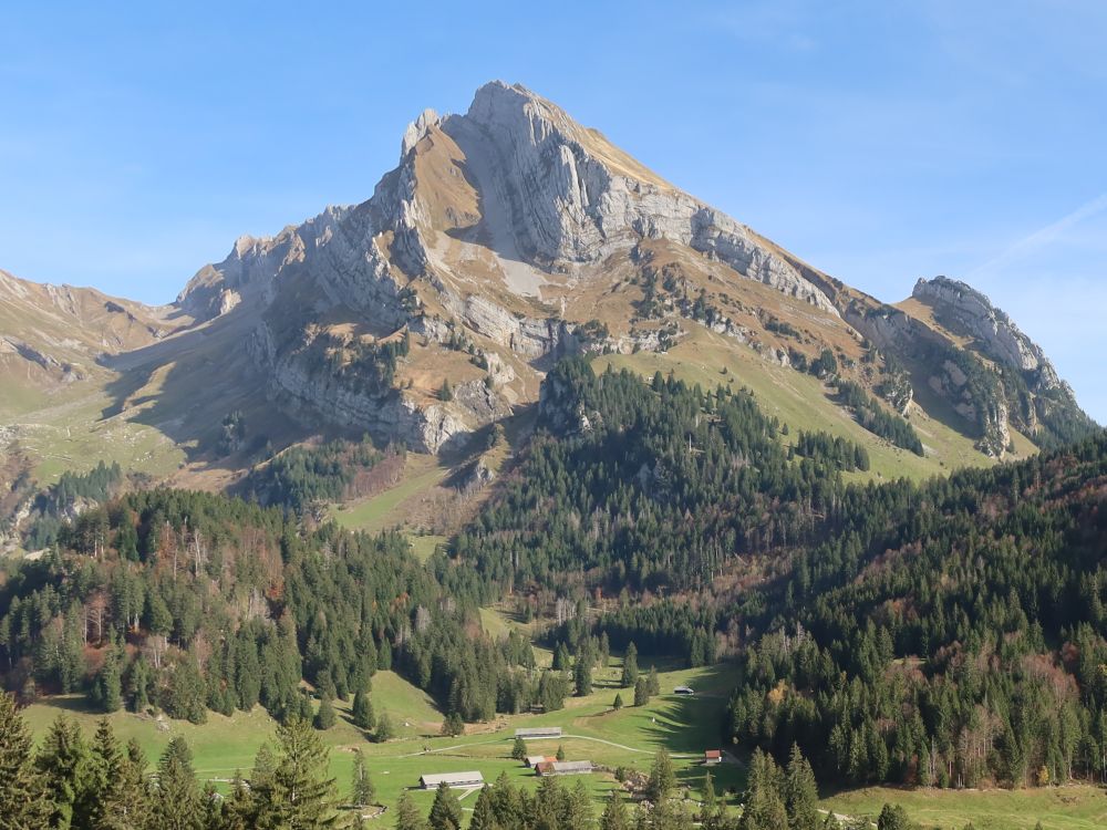 Wildhauser Schafberg